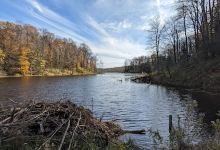 Bear Swamp State Forest景点图片