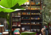 Jardin secreto购物图片