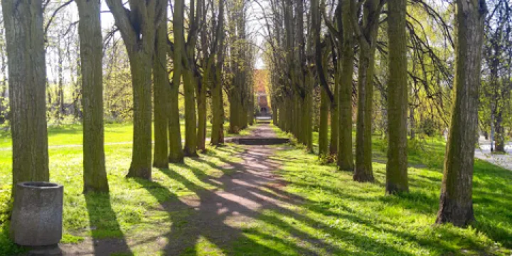 St. Nicholas Orthodox Church (Cerkiew sw. Mikolaja)