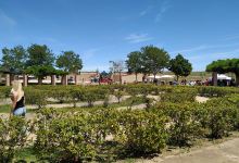 Parque El Alamillo景点图片