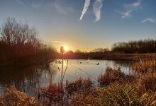 Hebburn Quarry Pond Local Nature Reserve景点图片