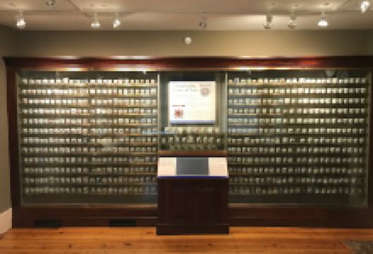 Reeves Museum of Ceramics景点图片