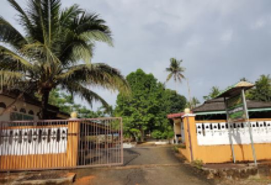 Masjid Kampung Temala景点图片