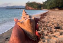 Parc a Beouf Beach景点图片