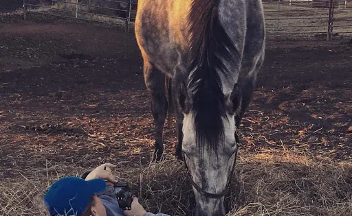 LNJ Ranch Equestrian