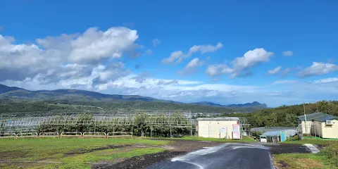 Sakuranboyama Kanko Firm