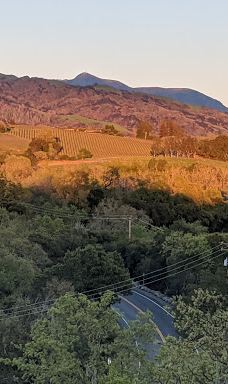 Wildhaven Sonoma Glamping-索诺马县