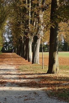 Parc de Champagne-兰斯