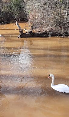 Grajera Park-洛格罗尼奥