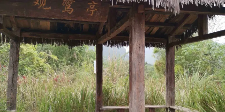 國際如意島生態景區-觀鷺亭