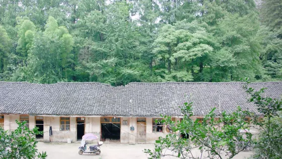 東風林場