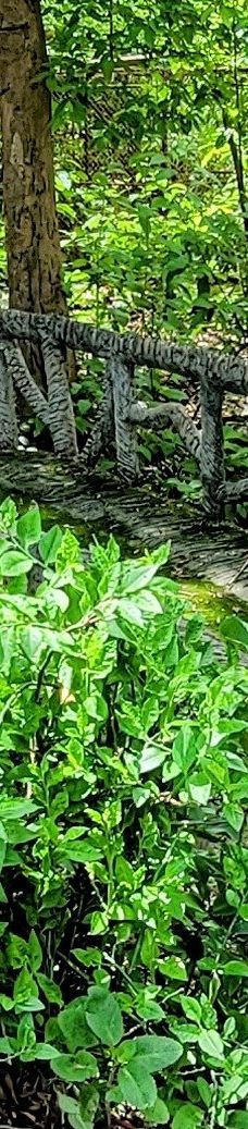 素贴山国家公园-清迈