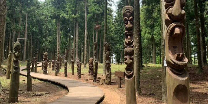 濟州寺水自然休養林