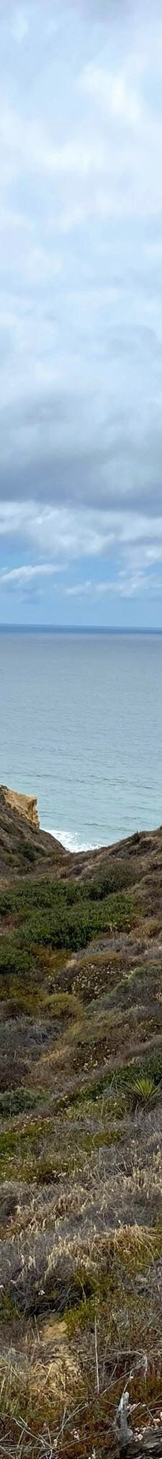 多利松国家自然保护区-佐拉