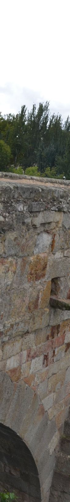 罗马古桥-萨拉曼卡