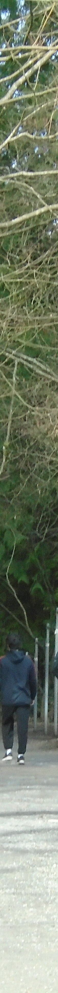 中央公园-本那比