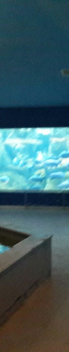 Deniz Dunyasi-安卡拉