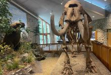 Mastodon State Historic Site景点图片