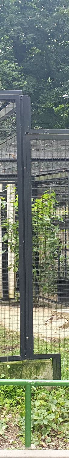 Chemnitz Zoo-开姆尼茨