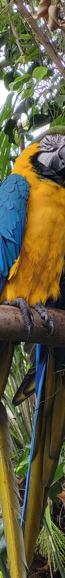 Butterfly Park Empuriabrava-Alt Emporda