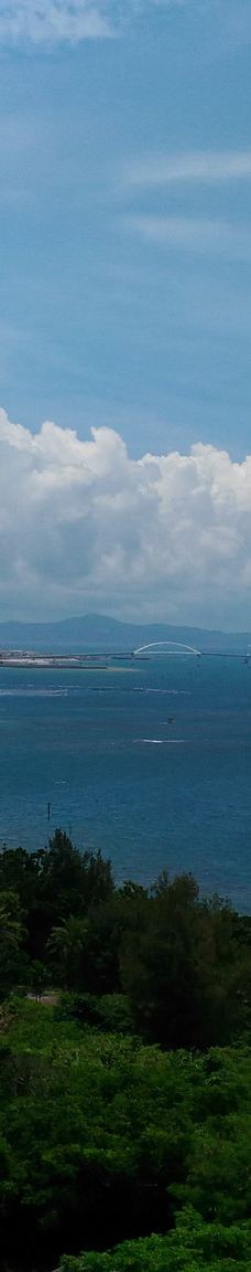 琉宫城蝴蝶园-本部町