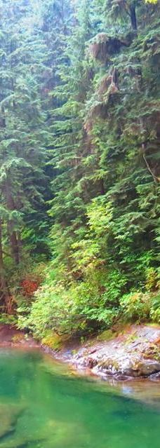 林恩峡谷公园-北温哥华