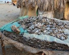 图尔卡纳湖国家公园-姆特瓦帕