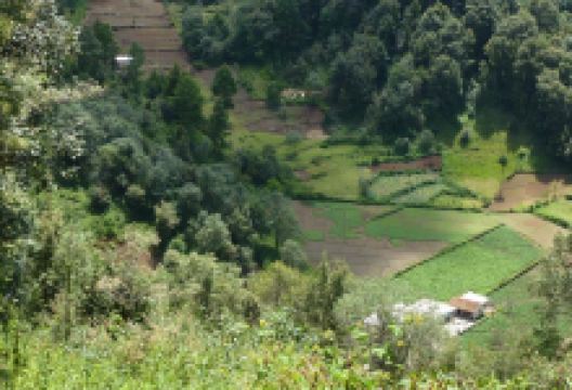 Huitepec Ecological Reserve景点图片