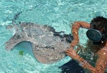 Leopard Rays Trench景点图片