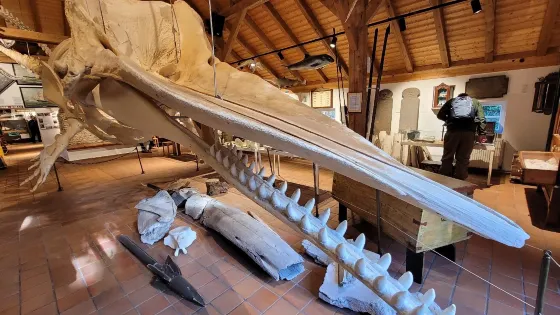 Heimatmuseum Dykhus
