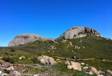 Paarl Mountain Nature Reserve景点图片