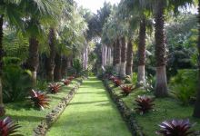 Palmco Garden景点图片