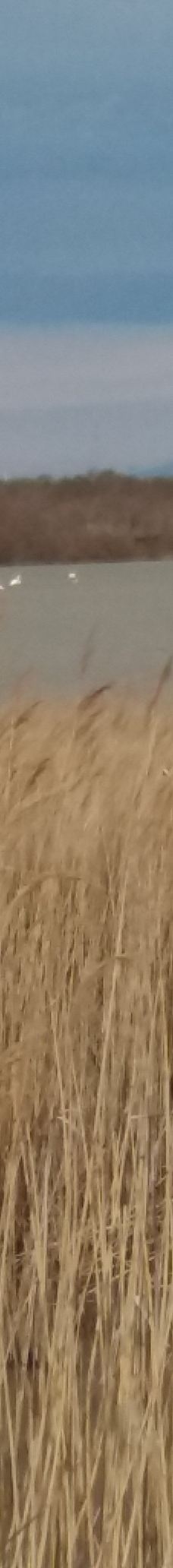 Domaine de la Palissade-阿尔勒