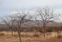 Tularosa Vineyards景点图片