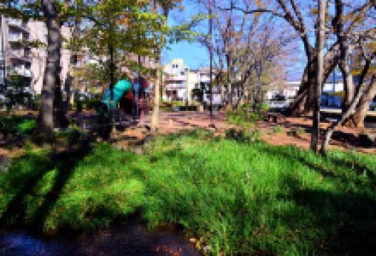 菰池公园景点图片
