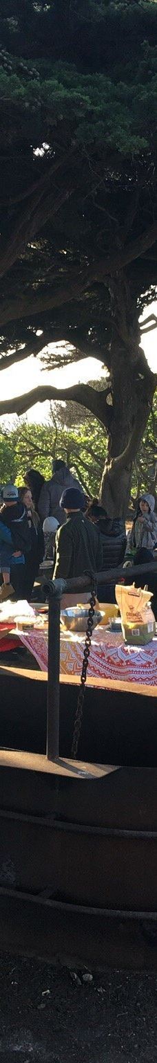 Shamel Park-坎布里亚