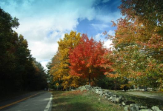 Minute Man Visitor Center景点图片