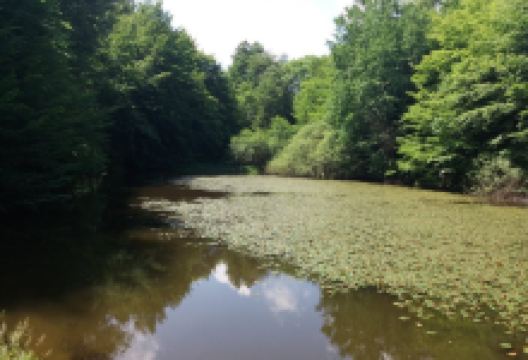 Elfengrotte景点图片