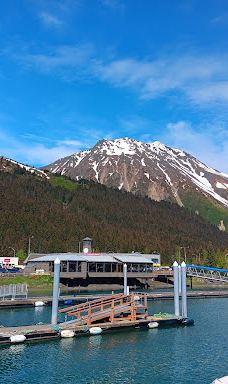 Kenai Fjords Tours-西沃德