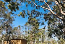 W B Ferrari Park景点图片