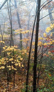 Mount Tom State Reservation-霍利奥克