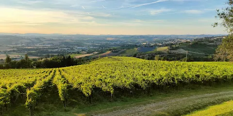 Cantina CasalFarneto