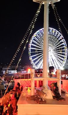 The pine forest of Le Barcarès-勒巴尔卡雷