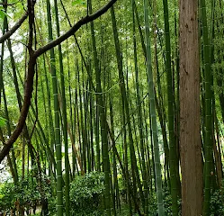 松前藩主松前家墓所