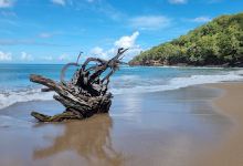 Anse de la Perle景点图片