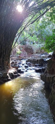 Parque dos Saltos-布罗塔斯