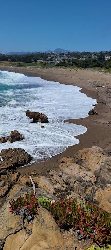 Shamel Park-坎布里亚