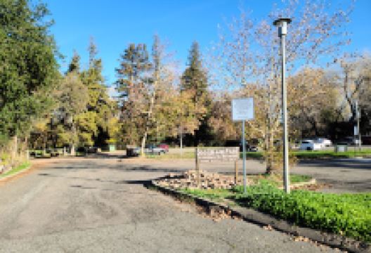 Dog Island Golf景点图片