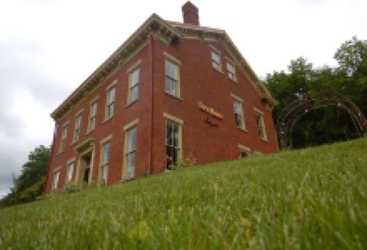 Nicky's Garden Center购物图片