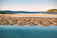 James Oates Reserve景点图片